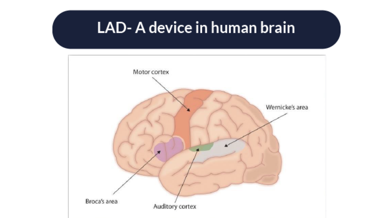 LAD- A device in human brain-04